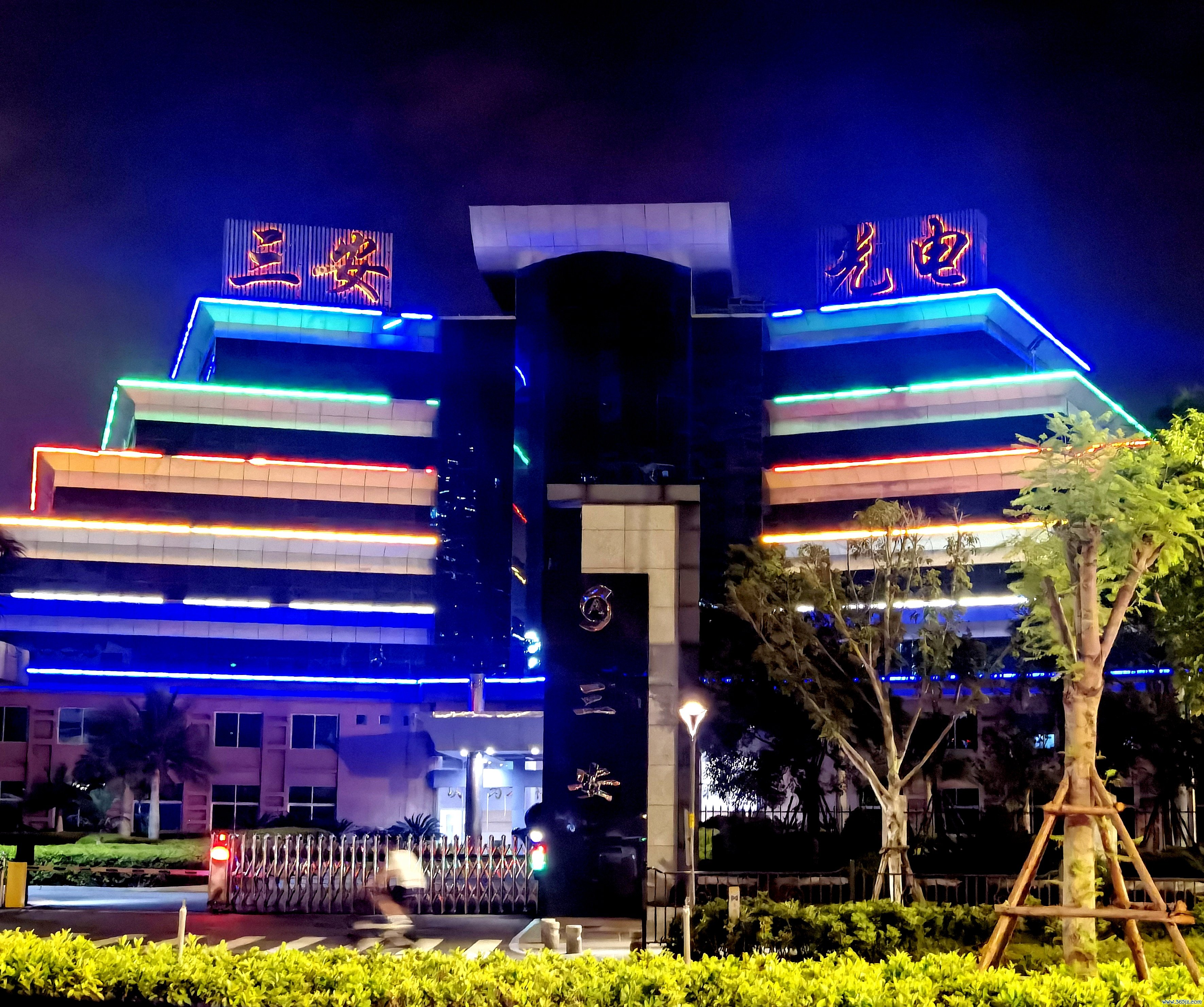 此图由受访者提供九游体育娱乐网。