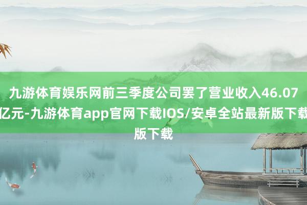 九游体育娱乐网前三季度公司罢了营业收入46.07亿元-九游体育app官网下载IOS/安卓全站最新版下载