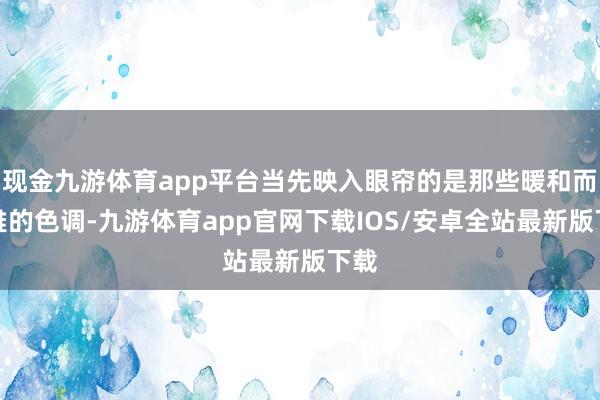 现金九游体育app平台当先映入眼帘的是那些暖和而高雅的色调-九游体育app官网下载IOS/安卓全站最新版下载