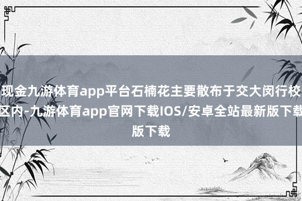 现金九游体育app平台石楠花主要散布于交大闵行校区内-九游体育app官网下载IOS/安卓全站最新版下载