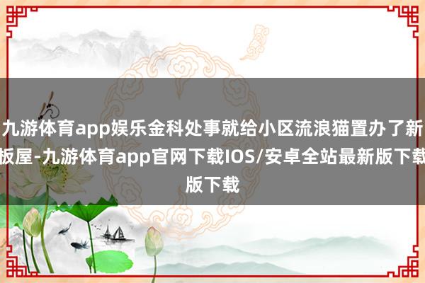 九游体育app娱乐金科处事就给小区流浪猫置办了新板屋-九游体育app官网下载IOS/安卓全站最新版下载