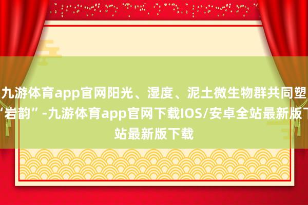 九游体育app官网阳光、湿度、泥土微生物群共同塑造“岩韵”-九游体育app官网下载IOS/安卓全站最新版下载